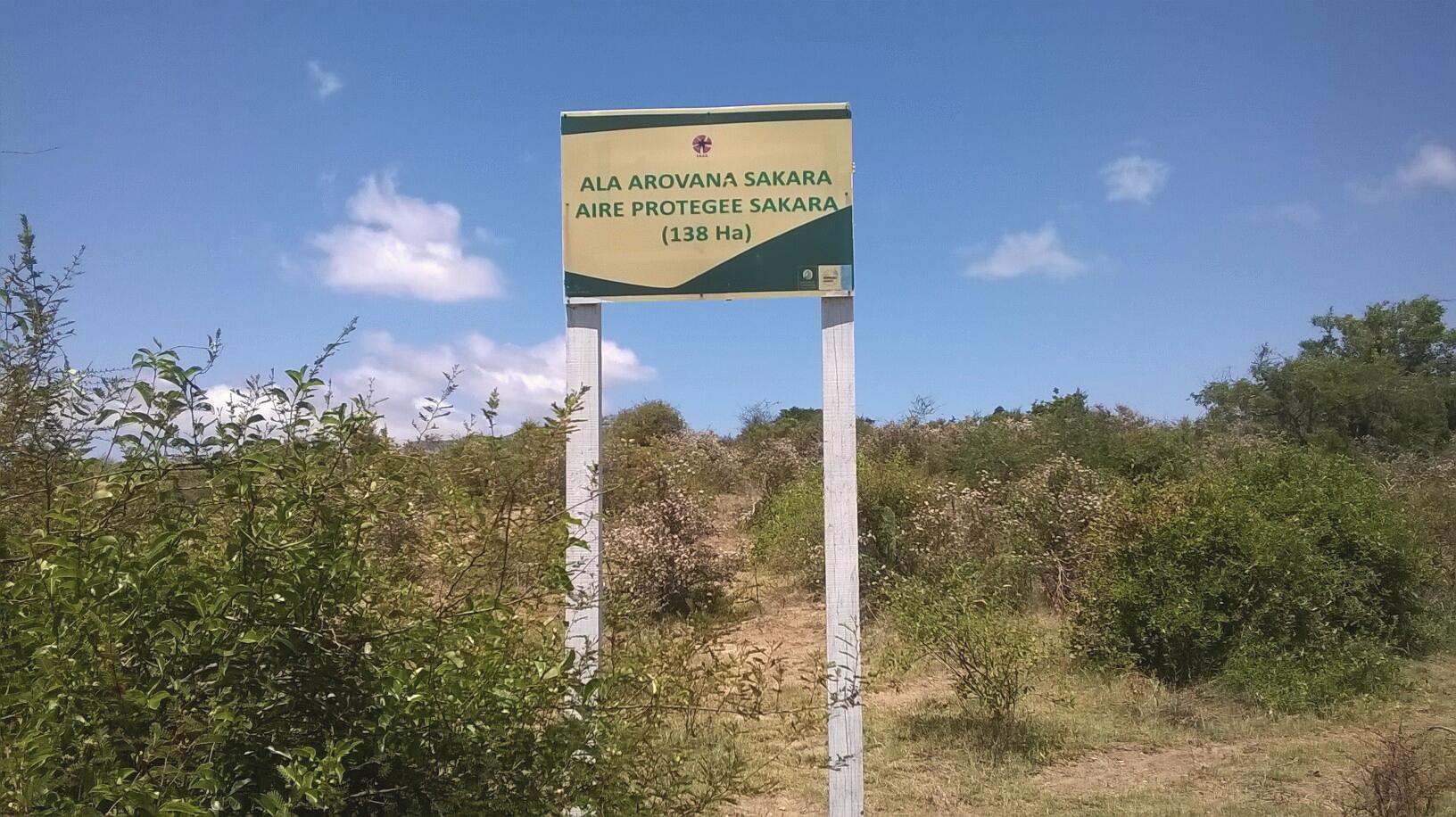 rf_filière_gingembre-sauvage_aire protégée_biodiversité